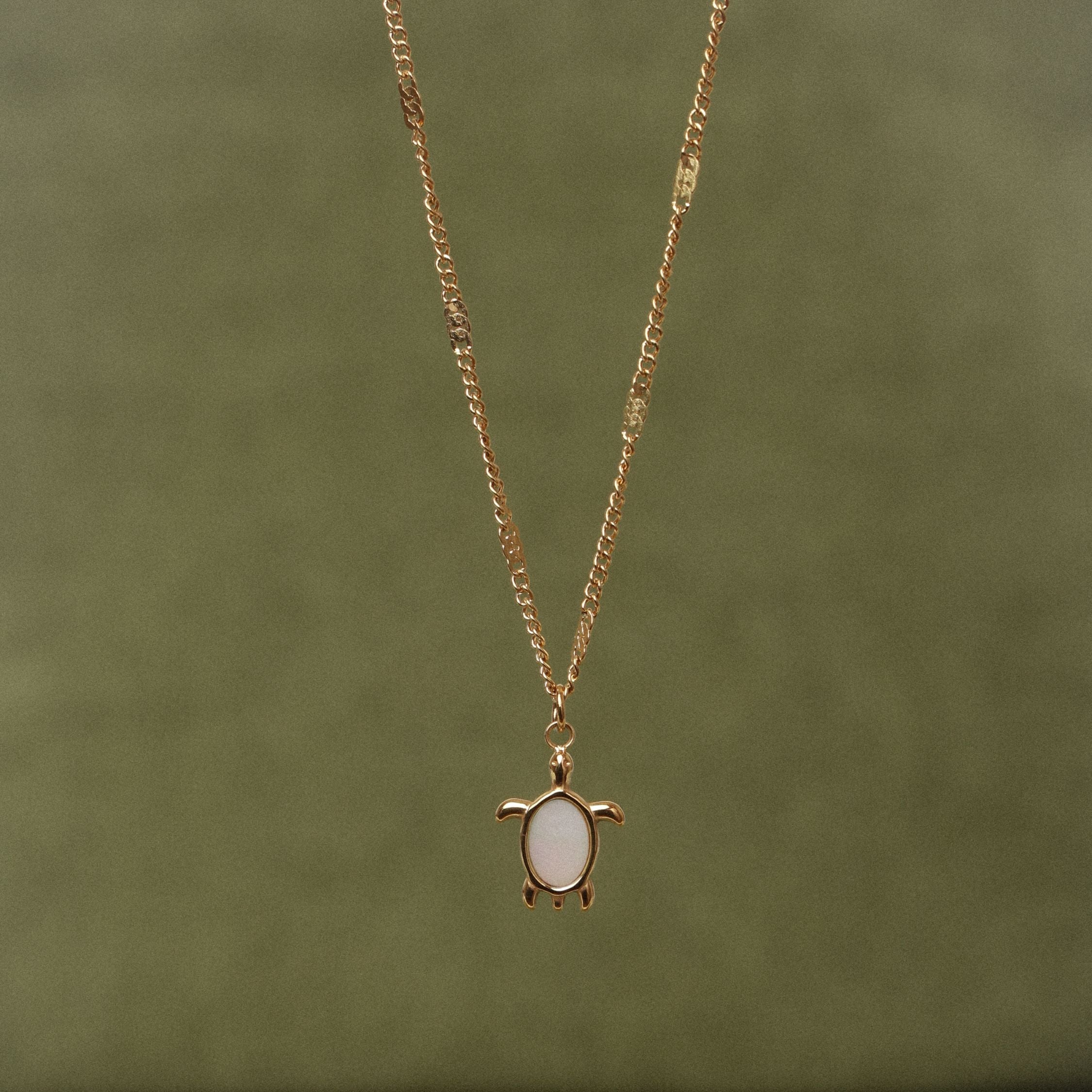 Turtle Guardian Necklace